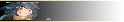 M13104 Skill banner (SkillHeader)